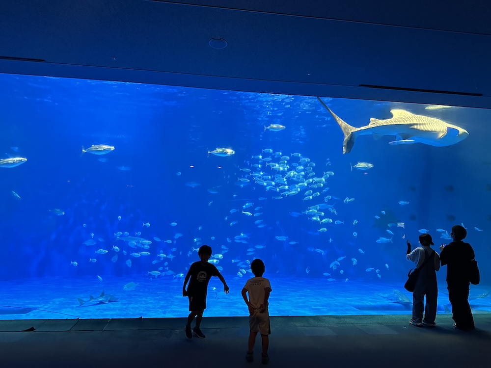 鹿児島いお水族館