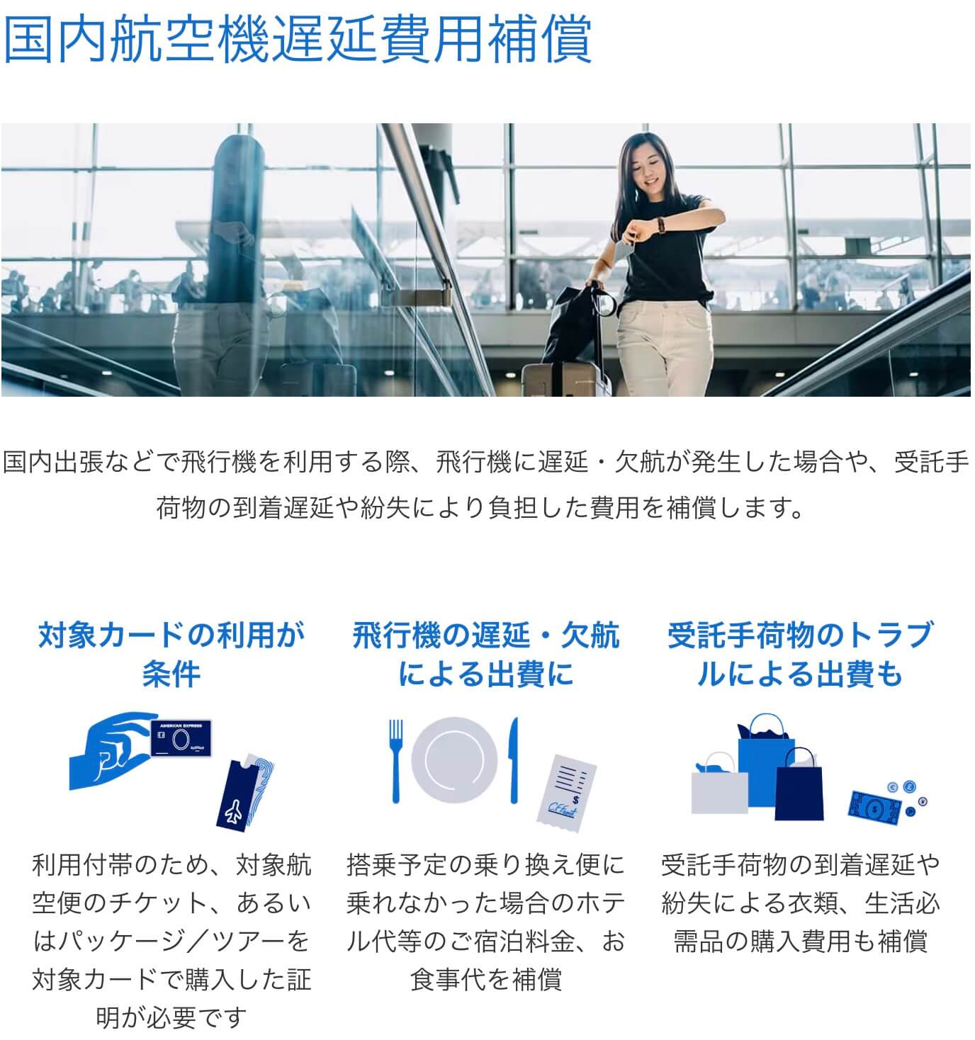 アメックスビジネスプラチナの国内航空機遅延費用補償